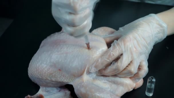 Kémia Befecskendezése Csirke Gmo Termékek Káros Egészségre Káros Anyag Laboratóriumi — Stock videók