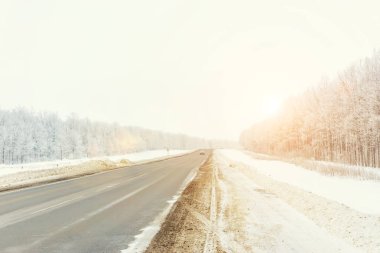 gündüz saatleri sırasında road yakınındaki kış orman