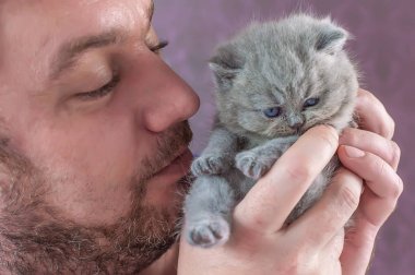 sakallı adam küçük bir kedi yavrusu kucaklayan