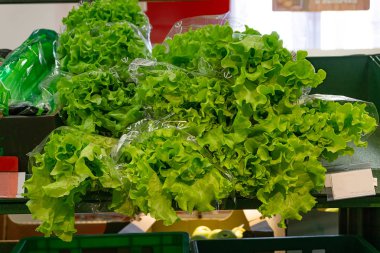 marul tezgahın üzerinde dükkanda bırakır