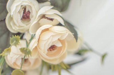 düğün kemer doku yapay güller. Dekorasyon. Arka plan. seçici odaklama