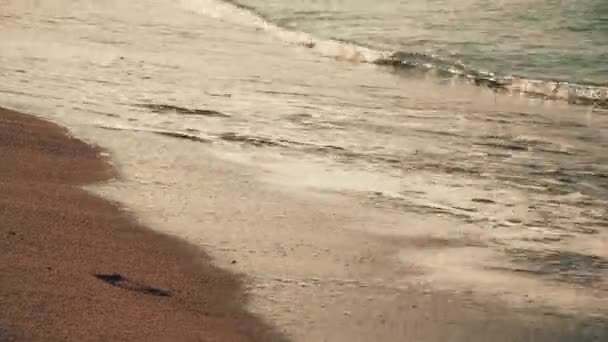 Волны на пляже вечером — стоковое видео