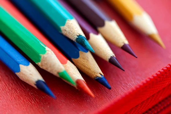 Lápis caso com lápis colorido close-up — Fotografia de Stock