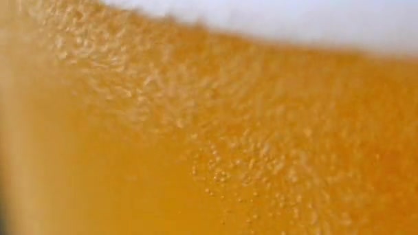 Kaltes, leichtes Bier im Glas. — Stockvideo