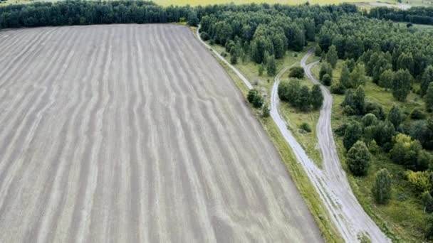 Ein landwirtschaftliches Weizenfeld und Wald im Herbst. Luftaufnahme von der Drohne. — Stockvideo