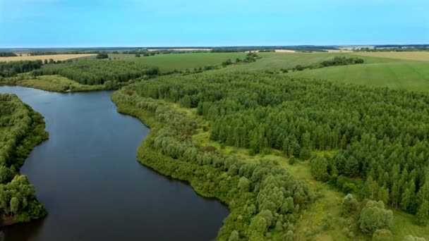 Cenário aéreo de lago florestal de um drone que voa para a frente — Vídeo de Stock