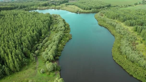 Cenário aéreo de lago florestal de um drone que voa para a frente — Vídeo de Stock