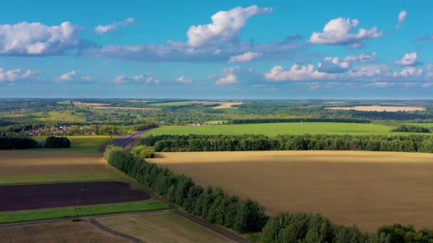 晴れた日の空中農村シーン — ストック動画
