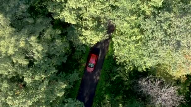 Vista aérea del coche rojo que conduce en la carretera del país en bosque — Vídeo de stock