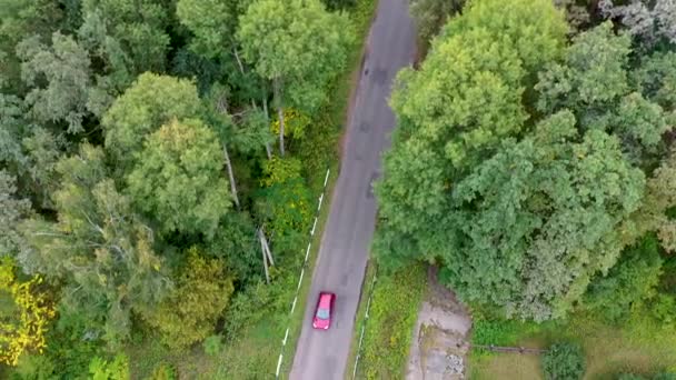 Vista aérea do carro vermelho dirigindo na estrada do país na floresta . — Vídeo de Stock