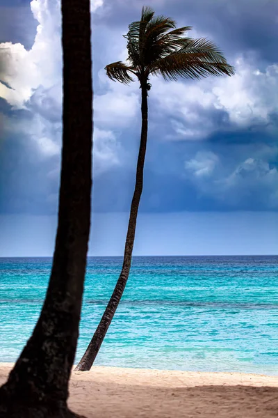 Tropical storm is coming at the empty beach