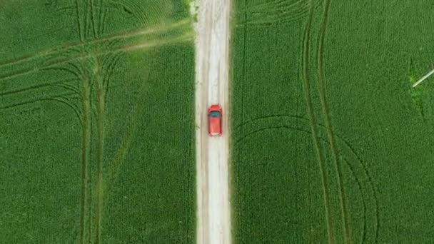 Aerial view of a red car driving on rural road — Stock Video