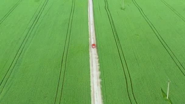 Aerial view of a red car driving on rural road — Stock Video