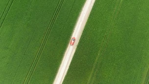 Aerial view of a red car driving on rural road — Stock Video
