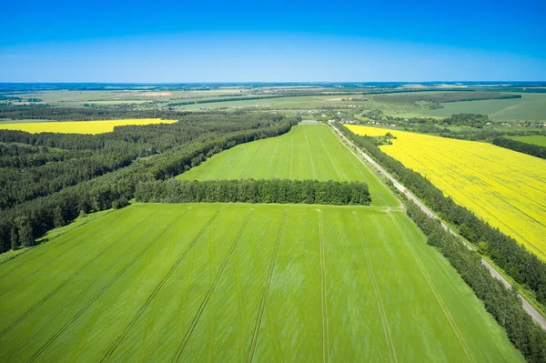 Vista aérea del campo con prados y campos amarillos —  Fotos de Stock