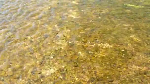 Кришталево чистою річкою . — стокове відео