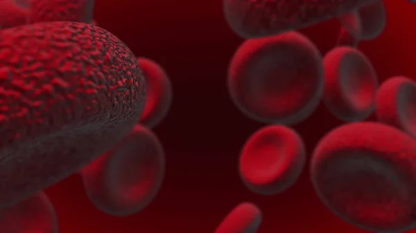 Rode bloedcellen bewegen in de bloedbaan in een slagader. — Stockfoto