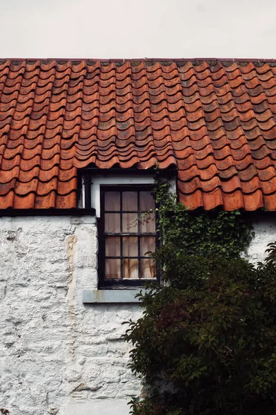 ウィンドウと植物 スコットランド イギリスの古い家の屋根瓦 — ストック写真
