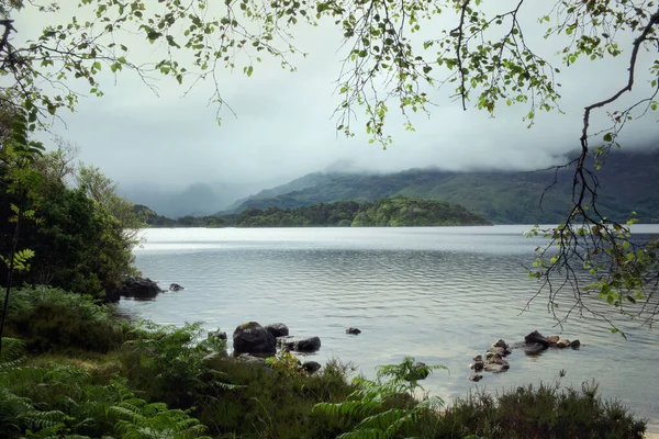 Utsikt över Scotlands Loch Morar inramad av trädgrenar — Stockfoto