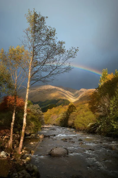 Mountain river surrounded by autumn trees after rain — Stock Photo, Image