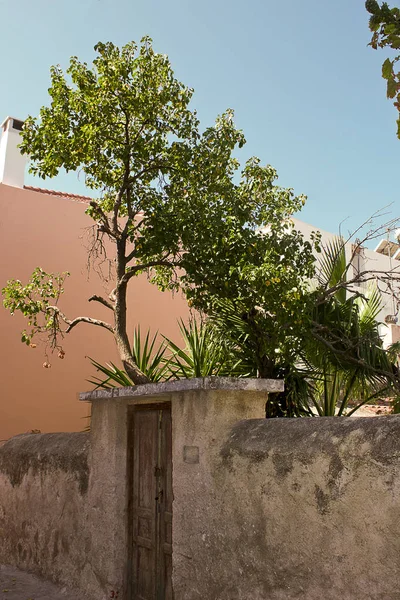 Ägina Detail Aus Der Straße Von Ägina Insel Ägina Griechenland — Stockfoto