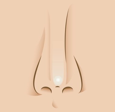 İnsan burnu ayrıntılı gösteren resim