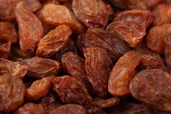 Dried grapes of large raisins