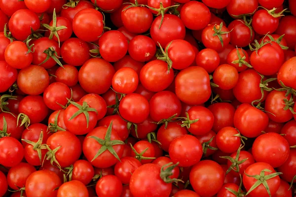 Una población roja y fresca de tomates Fotos De Stock