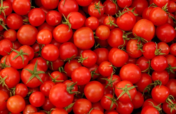 Una multitud roja de tomates Imágenes De Stock Sin Royalties Gratis