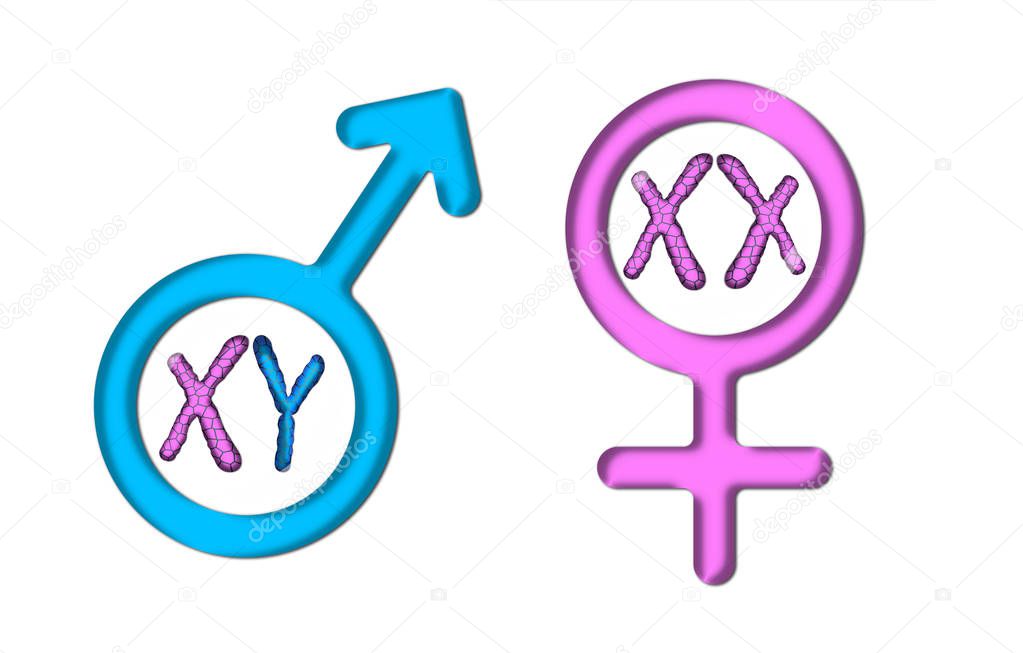Color graphics with white background, pink female symbol, and bl