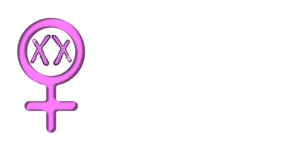 Gráficos coloridos simbolizando mulher rosa com cromossomos X — Fotografia de Stock