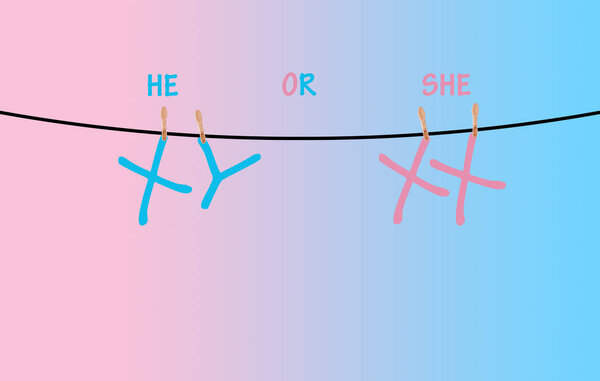 Fetal sex determination on chromosome X and Y chromosomes