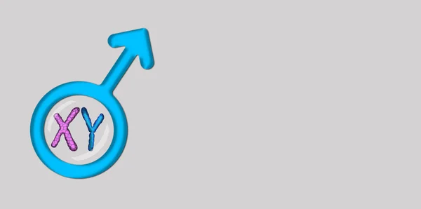 Синій чоловічий символ з хромосомами X та Y — стокове фото