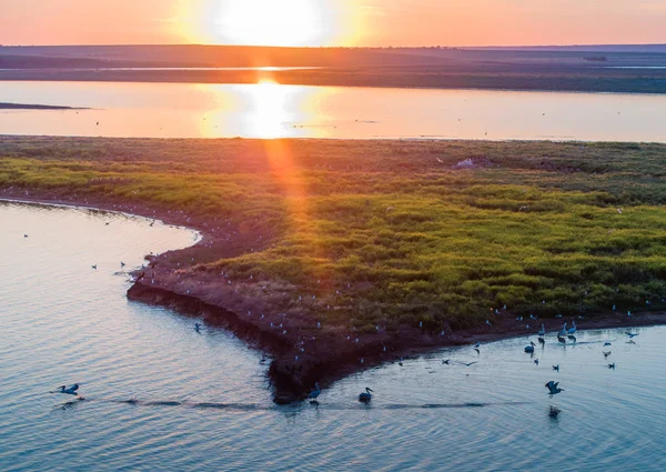 Bird Island på en flod i en reserv i Ryssland — Stockfoto