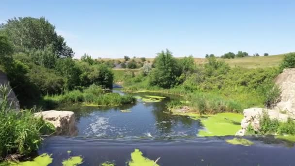 Wilde dieren van Rusland: uitzicht op een kronkelende rivier met een kleine waterval — Stockvideo