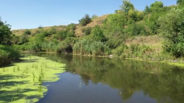 Fauna van Rusland: een kleine rivier tussen heuvels en weiden op een zomerdag — Stockvideo