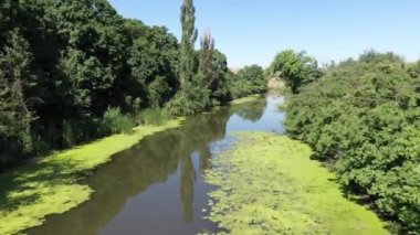 Rusya Yaban Hayatı: nehir, upstream, drone çekim