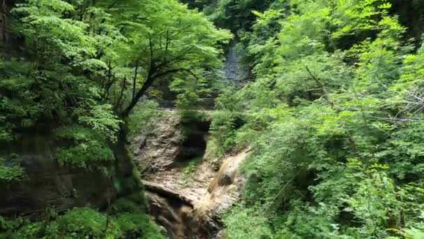 Garganta de la montaña cerca del pueblo de Mezmay, Rusia — Vídeos de Stock