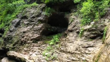 Bir dağ geçidinde bahar, güzel yeşil bir ormanın ortasında