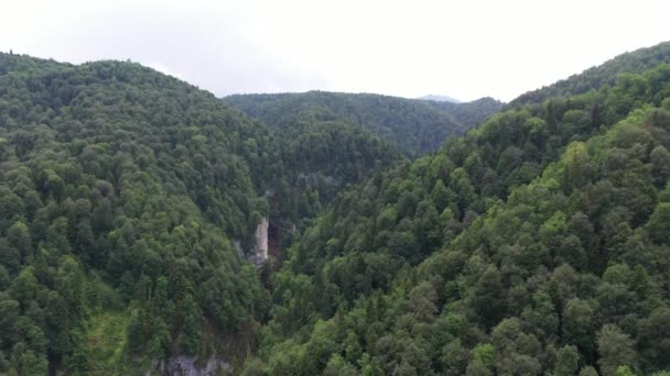 Άγρια φύση της Ρωσίας: πυκνό δάσος στις πλαγιές των βουνών — Αρχείο Βίντεο