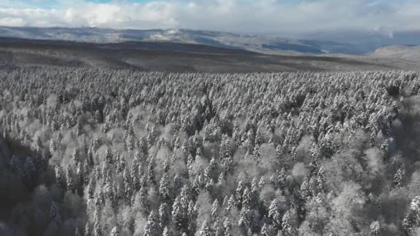 A hegy fennsík borítja sűrű erdő, gyönyörű téli táj a magasból — Stock videók