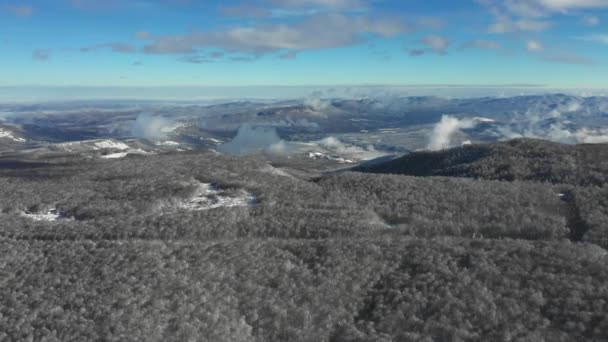 Montanhas e floresta no inverno: uma bela paisagem de cima. Rússia — Vídeo de Stock