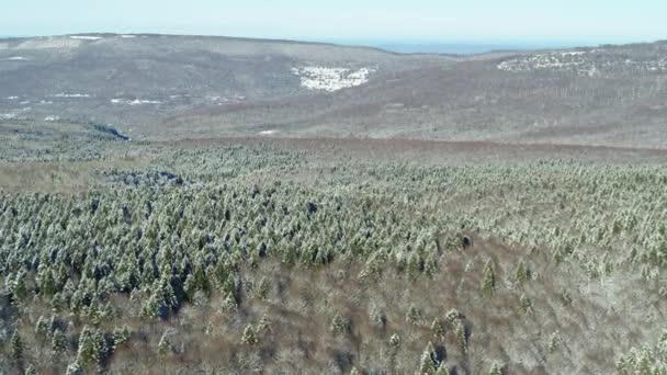 Gelo e sole, splendida giornata. Inverno in Russia, foresta innevata in montagna, vista aerea — Video Stock