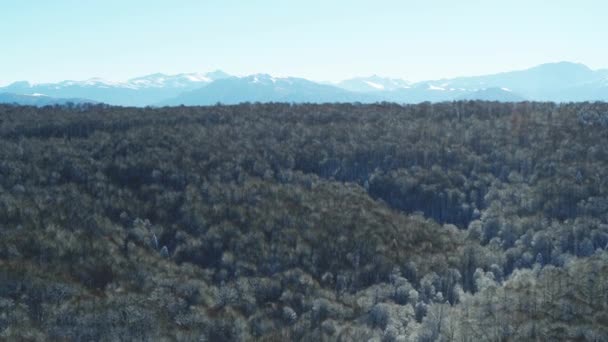 Подорож в гори взимку в Росії: засніжені ліси і гірські вершини — стокове відео