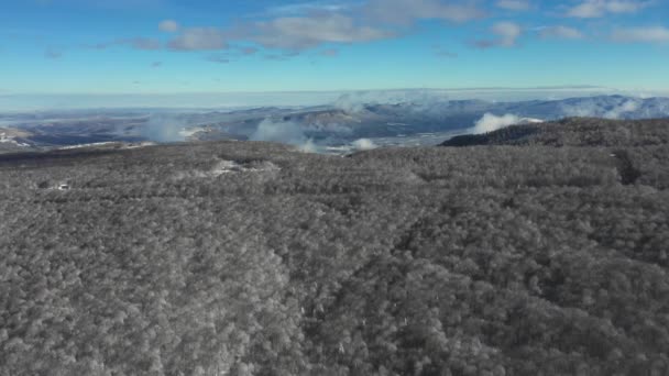 Hegyek és erdők télen: a gyönyörű táj felülről. Oroszország — Stock videók