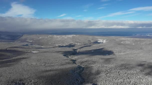 Het bergplateau is bedekt met dicht bos, een prachtig winter landschap van een hoogte — Stockvideo