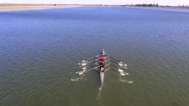 Rostov-on-Don, Russia - approx. June 2018: Canoe rowers on a sunny day — Stock Video