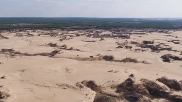 Prachtige natuur: zand woestijn en sporen van auto wielen op het zand — Stockvideo