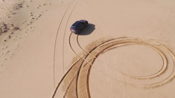 Zand woestijn drijven in Rusland — Stockvideo