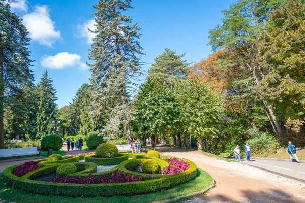 Kislovodsk, Rusia - septiembre 2019: Resort park - macizo de flores con flores, diseño de paisajes —  Fotos de Stock